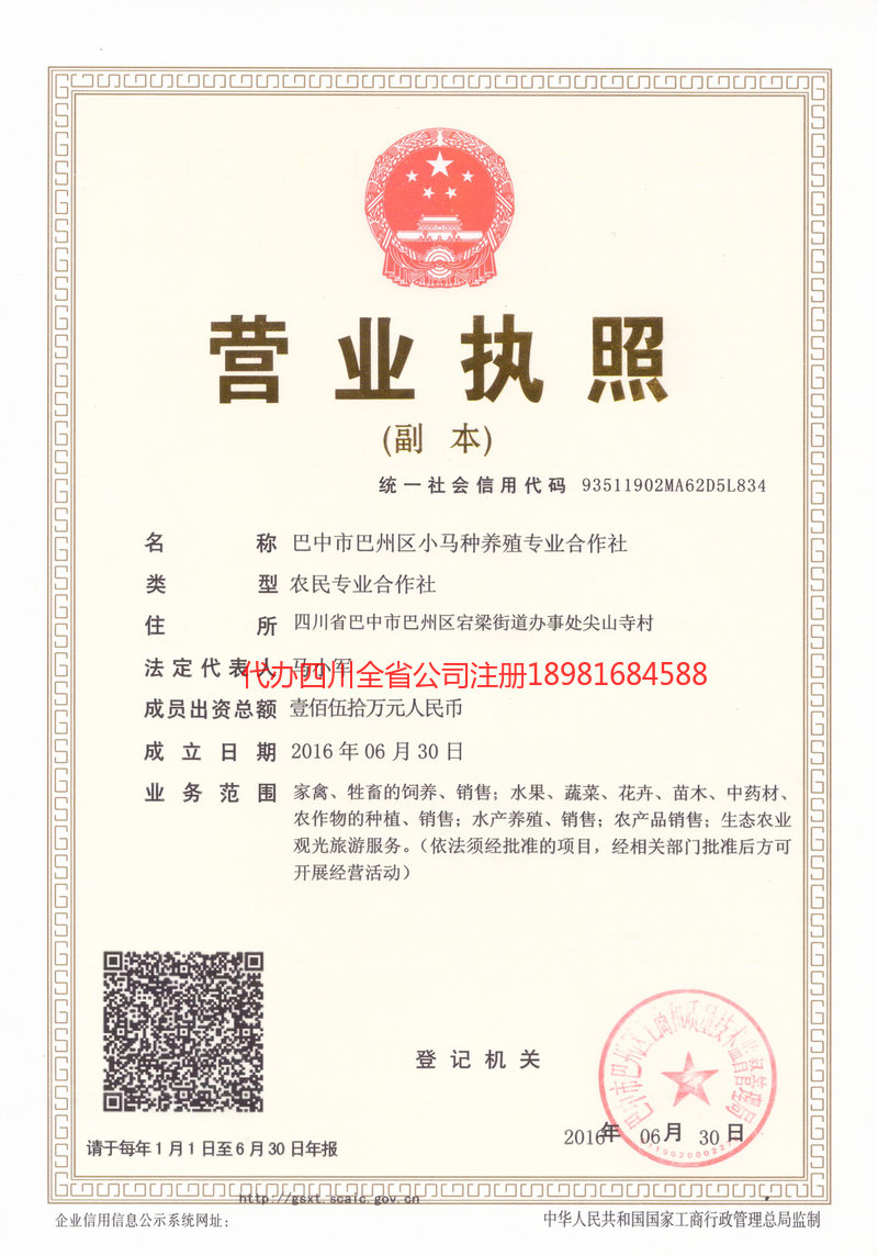 小馬種養殖專業合作社